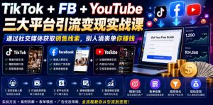 TikTok+FB+YouTube三大平台引流变现实战课，通过社交媒体获取销售线索，别人填表单你賺钱【原创双语字幕】-菠萝头