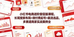 小红书电商进阶督促版课程，长尾搜索布局+微付费起号+截流选品，多赛道商家实战案例全程拆解-菠萝头
