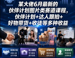 某大佬6月最新的伙伴计划图片类赛道课程，伙伴计划+达人跟拍+好物带货+收徒等多种收益-菠萝头