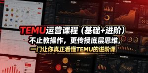 TEMU运营课程（基础+进阶），不止教操作，更传授底层思维，一门让你真正看懂TEMU的进阶课-菠萝头
