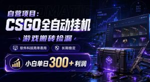 自营项目：CSGO全自动挂G，游戏搬砖捡漏，软件科技简单易用，长期稳定，小白单日300+利润【揭秘】-菠萝头