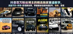 抖音百万粉丝博主的精选独家赛道教学，涵盖汽车+体育+影视解说等，零基础也能快速起号、涨粉、变现-菠萝头
