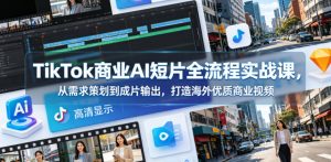 TikTok商业AI短片全流程实战课，从需求策划到成片输出，打造海外优质商业视频-菠萝头