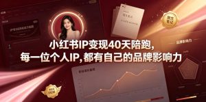 小红书IP变现40天陪跑，每一位个人IP，都有自己的品牌影响力-菠萝头