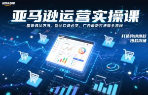 亚马逊运营实操课，覆盖选品方法、新品口诀必学、广告最新打法等全流程，打造跨境爆款店铺（更新6月）-菠萝头