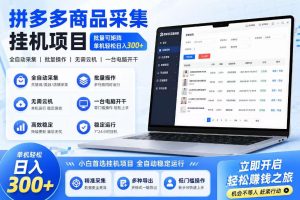 拼多多商品信息采集挂G项目，批量可矩阵，单机轻松日入300+，长期稳定【揭秘】-菠萝头