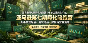 亚马逊第七期孵化陪跑营|千单店铺实战打法,新手合规起店、避坑选品、数据运营全落地-菠萝头