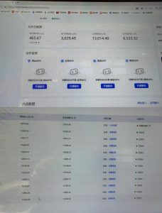 AI智能广告挂G,在家自动賺收益,日入300+,多机多收益【揭秘】-菠萝头