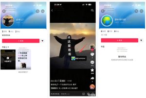最强抖音引流-隐藏式暂停跳钩子,效果自测-菠萝头