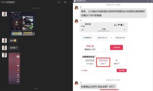 团长蓝海合作3.0，每周爆款模板+合作共赢项目-菠萝头