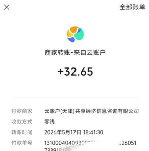 微信游戏撸广独家玩法，今天做明天就能出收益，单号日收益20+，可多号矩阵放大-菠萝头