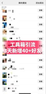 抖音AI工具号测评项目，单号最高涨粉15W+，单笔商单5.5k，也可进伙伴计划，普通人可复制（更新5月）-菠萝头