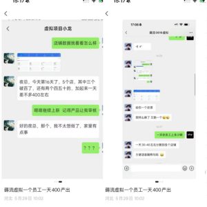 薅流虚拟2.0陪跑课,0成本AI流程化操作,淘宝+闲鱼同步玩法,上一次货两个平台有收益,单店每天200纯利润-菠萝头