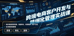 跨境电商客户开发与精细化管理实战课|海外精准客源挖掘、询盘转化、老客维护、客户分层全流程落地教程-菠萝头