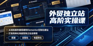 外贸独立站高阶实操课|从域名服务器搭建到Elementor定制化建站,打造高转化询盘型独立站全教程-菠萝头