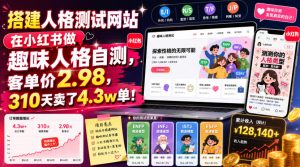 搭建人格测试网站在小红书做趣味人格自测,客单价2.98,310天卖了4.3w单!-菠萝头
