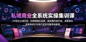 私域商业全系统实操课|IP定位公域引流、社群精细化运营、朋友圈内容打造、高客单成交与用户裂变完整落地教程-菠萝头