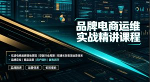 品牌电商运维实战精讲课程|吃透电商品牌落地逻辑、穿越行业周期、搭建长效变现运营体系-菠萝头