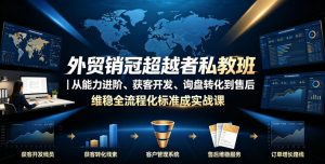 外贸销冠超越者私教班|从能力进阶、获客开发、询盘转化到售后维稳全流程标准化成交实战课-菠萝头