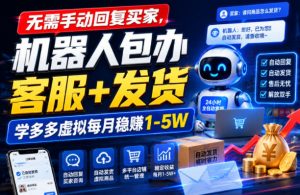 无需手动回复买家，机器人包办客服+发货，学多多虚拟每月稳賺1-5W【揭秘】-菠萝头