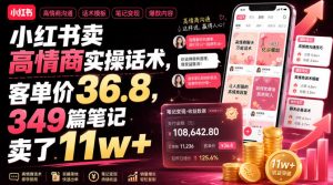 小红书卖高情商实操话术,客单价36.8,349篇笔记卖了11w+!-菠萝头