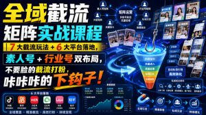 全域截流矩阵实战课程｜7大截流玩法+6大平台落地，素人号+行业号双布局，不要脸的截流打粉，咔咔咔的下钩子！-菠萝头