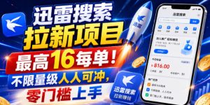 迅雷搜索拉新项目，最高16每单！不限量级人人可冲，零门槛上手（更新0731）-菠萝头