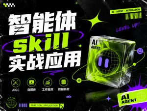 智能体skill实战应用,为寻求利用智能体进行工作提效的人打造,案例演示,纯实战课-菠萝头