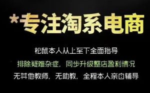 松鼠会电商VIP课程,从基础布局到高阶优化,助你掌握淘宝运营逻辑,提升店铺流量与转化(更新0823)-菠萝头