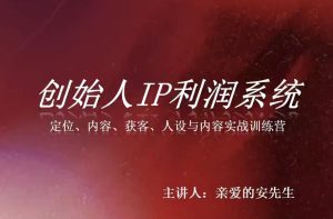 创始人IP利润系统8月训练营,定位、内容、获客、人设与内容实战训练营-菠萝头