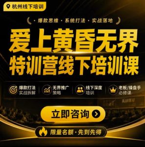 爱上黄昏无界特训营AI推广实战7月27-30杭州线下课,AI落地淘宝最完整的课程,学天猫淘宝的老板必看-菠萝头