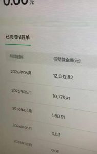 汽水音乐人项目,暴力自然流打法,不需要你会唱歌、会写歌,用AI生成上传,靠自然流賺播放收益-菠萝头